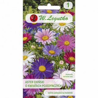 Ochiul boului Madeleine, mix multicolor imagine 14