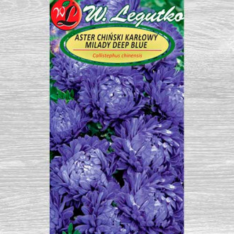 Ochiul boului Milady Deep Blue Legutko imagine 6