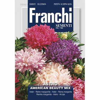 Aster chiński American Beauty, mieszanka kolorów Morami interface.image 12