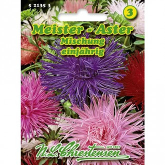 Aster igielkowy Meister, mix kolorow interface.image 5
