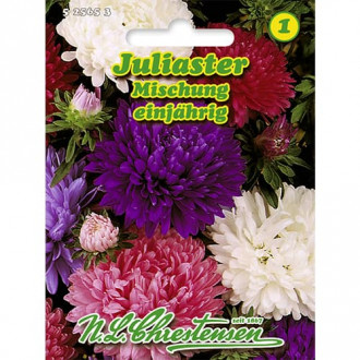 Aster peoniowy Juliaster, mix kolorow interface.image 5