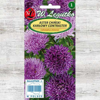 Aster chiński karłowy Contraster ciemnoniebieski Legutko interface.image 1