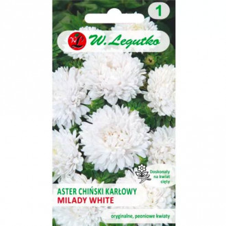 Aster karłowy Milady White interface.image 16