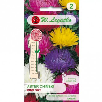 Aster chiński King Size, mix interface.image 11