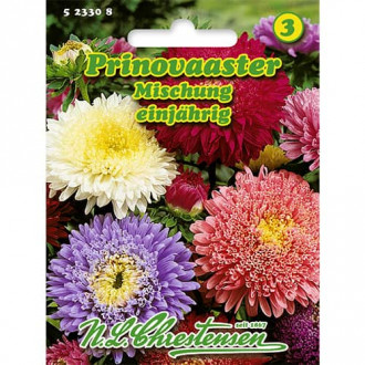 Aster wielkokwiatowy, mix kolorow interface.image 10