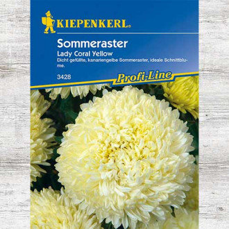 Aster chiński Lady Coral Yellow interface.image 10