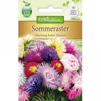 Aster chinski olbrzymi, mix kolorow interface.image 3