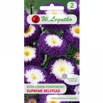 Aster pomponowy Belstead Supreme interface.image 9