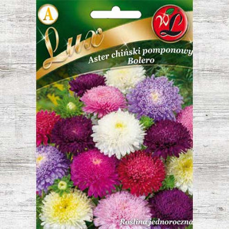Aster chiński pomponowy Bolero, mieszanka interface.image 12