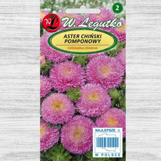 Aster chiński pomponowy różowy interface.image 9