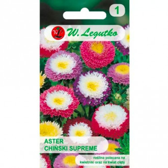 Aster chiński pomponowy Supreme, mix interface.image 15