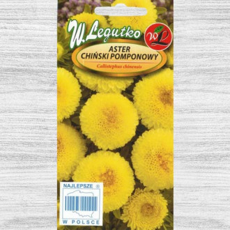 Aster chiński pomponowy żółty interface.image 16