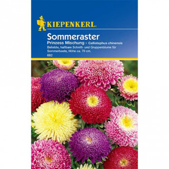 Aster Prinzess, mix kolorow interface.image 14