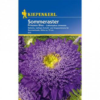 Aster Prinzess Blau interface.image 14