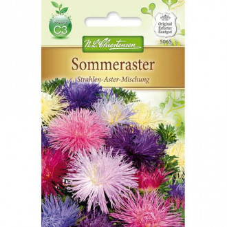 Aster igielkowy Strahlen, mix kolorow interface.image 6