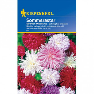 Aster Strahlen, mix kolorow interface.image 17