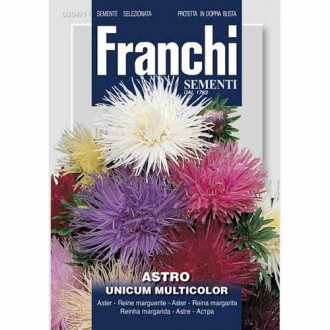 Aster chiński Unicum, mieszanka kolorów Morami interface.image 11
