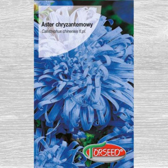 Aster chryzantemowy wysoki jasnoniebieski interface.image 11