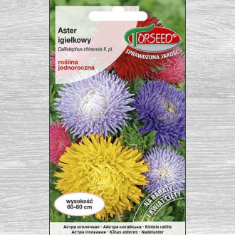 Aster chryzantemowy wysoki, mieszanka interface.image 7