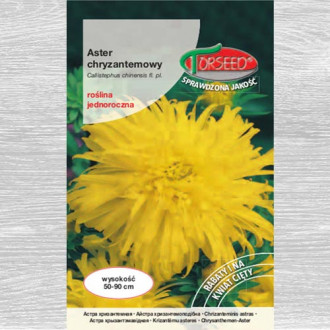 Aster chryzantemowy wysoki oliwkowożółty interface.image 16
