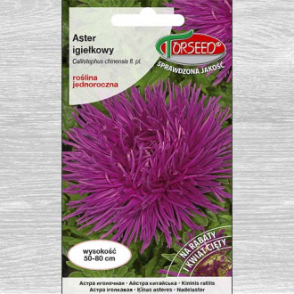 Aster chryzantemowy wysoki, wrzosowofioletowy interface.image 9