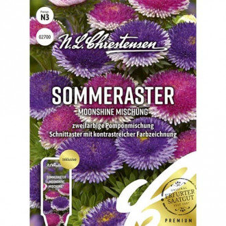 Aster pomponowy Moonshine, mix kolorow interface.image 7