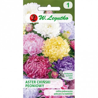 Aster peoniowy, mix kolorow interface.image 15