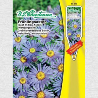 Aster Wartburg Star imagine 17