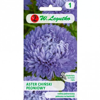 Астра китайска божур син Legutko изображение 2