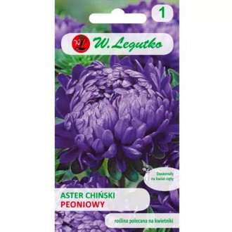Астра китайска божур виолетов Legutko изображение 10