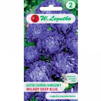 Астра китайска джудже Milady Deep Blue Legutko изображение 1