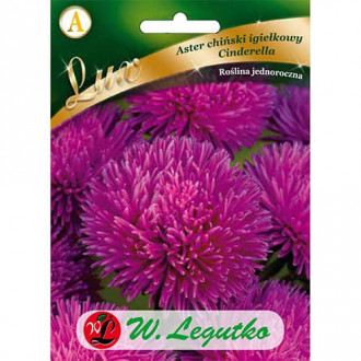 Астра китайска игличеста, Cinderella изображение 2