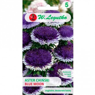 Астра китайска Liliput Blue Moon Legutko изображение 17