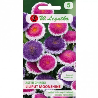 Астра китайска Liliput Moonshine Legutko изображение 8