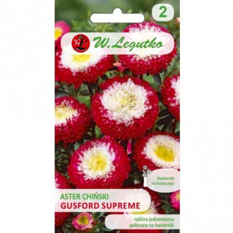 Астра китайска тип помпон Gusford Supreme Legutko изображение 15