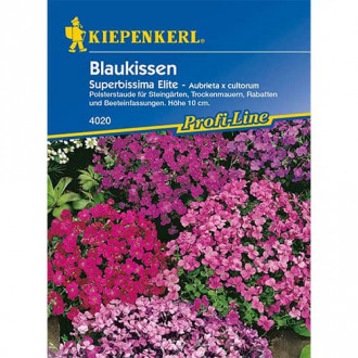 Аубриета Superbissima Elite изображение 1