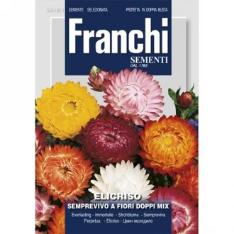 Хелихризум градински, смес от цветове изображение 8