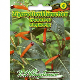 Огнено-червена куфея изображение 1