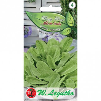 Baby Leaf - Salată romană Paris Island cos imagine 13