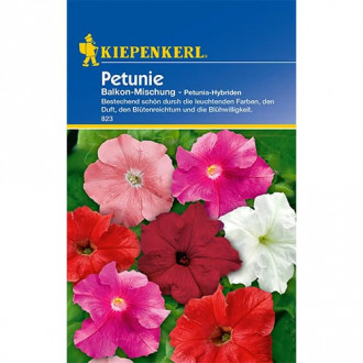 Балконска петуния, смес Kiepenkerl изображение 1