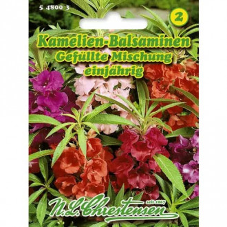 Balsamină cu flori de camelie, mix multicolor imagine 1