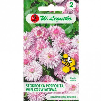 Bănuței Maria roz Legutko imagine 13