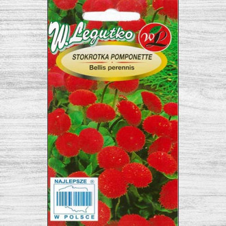 Bănuței roșii Pomponette Legutko imagine 9