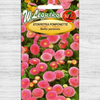 Bănuței roz Pomponette Legutko imagine 6