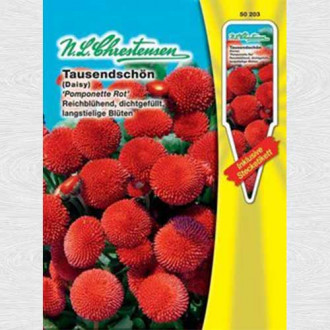 Bănuței roșii Pomponette imagine 8