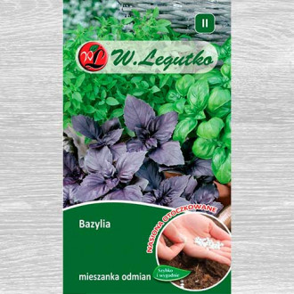 Bazylia, mieszanka odmian interface.image 8