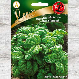 Bazylia właściwa Lettuce leaved Legutko interface.image 6