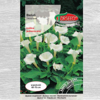 Bieluń biały interface.image 1