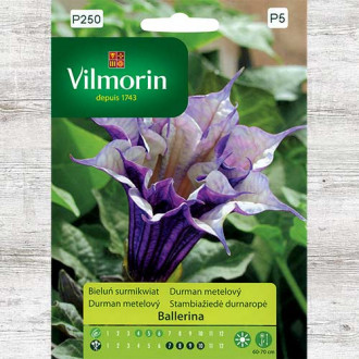 Bieluń surmikwiat (Datura) Ballerina interface.image 4