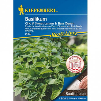 Босилек Cino & Sweet Lemon & Siam Queen, семнно платно изображение 3